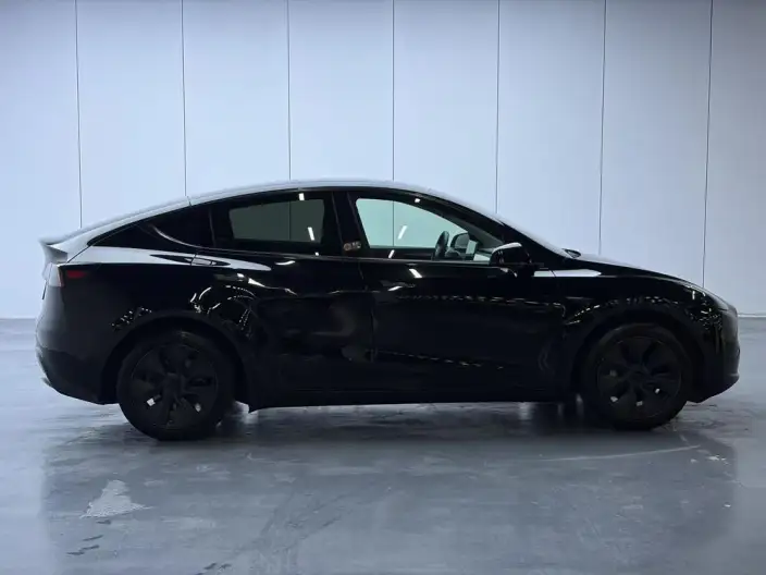 Model Y 2023 Model Rear-wheel drive version – фото 8