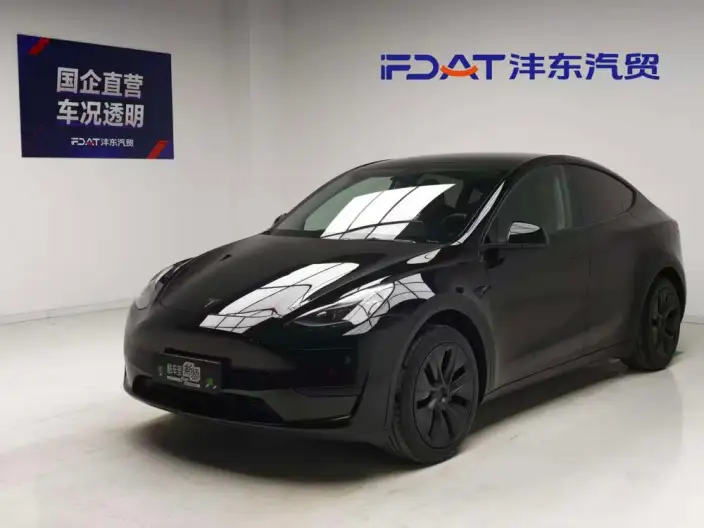 Model Y 2023 Model Rear-wheel drive version – фото 1