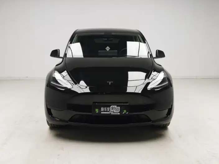 Model Y 2023 Model Rear-wheel drive version – фото 2