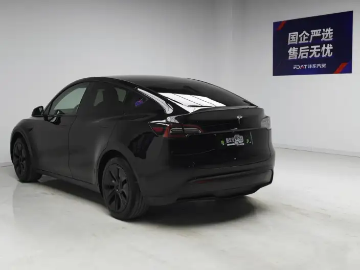 Model Y 2023 Model Rear-wheel drive version – фото 5