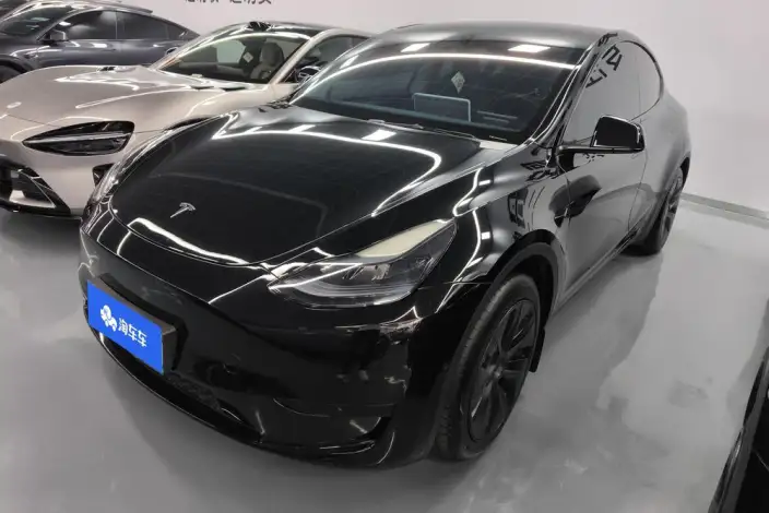 Model Y 2023 Model Rear-wheel drive version – фото 1