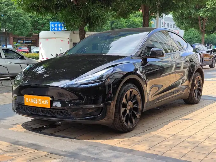 Model Y 2023 Model Long Battery Life Pro All-wheel drive version – фото 1