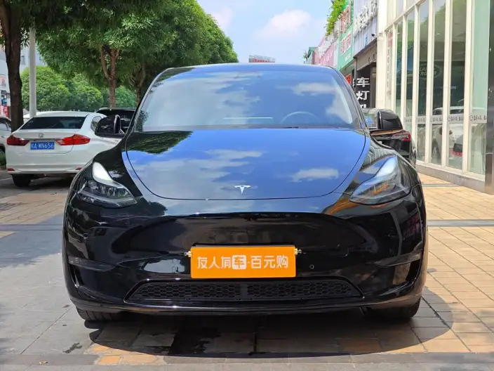 Model Y 2023 Model Long Battery Life Pro All-wheel drive version – фото 2