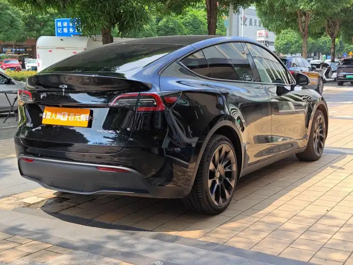 Model Y 2023 Model Long Battery Life Pro All-wheel drive version – фото 4