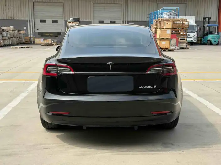 Model 3 2022 Model Rear-wheel drive version – фото 6