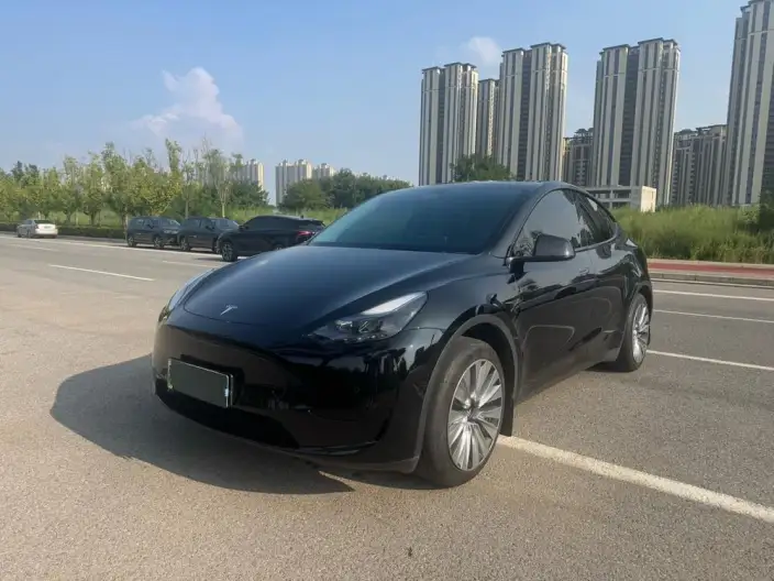 Model Y 2023 Model Rear-wheel drive version – фото 1