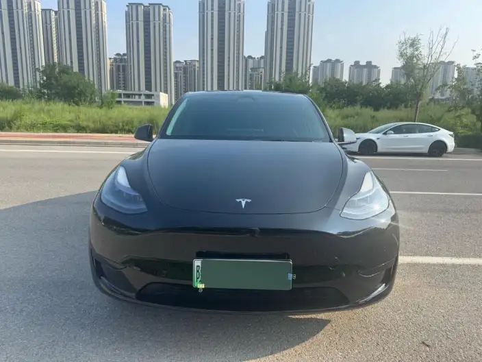 Model Y 2023 Model Rear-wheel drive version – фото 2
