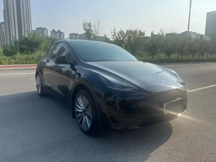 Model Y 2023 Model Rear-wheel drive version – фото 3