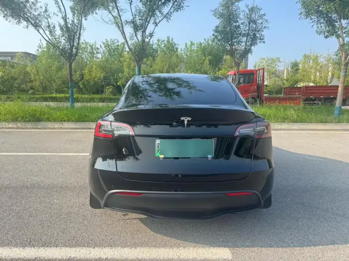 Model Y 2023 Model Rear-wheel drive version – фото 5