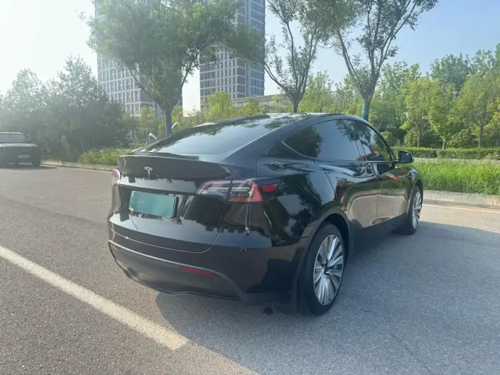 Model Y 2023 Model Rear-wheel drive version – фото 6