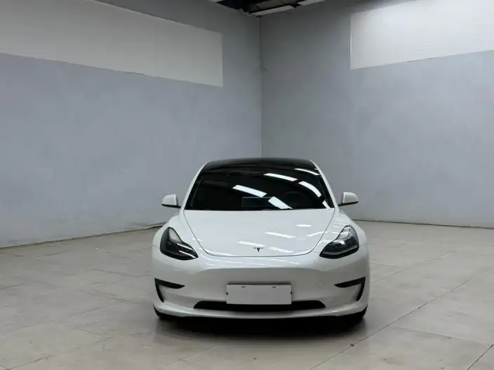 Model 3 2022 Model Rear-wheel drive version – фото 2