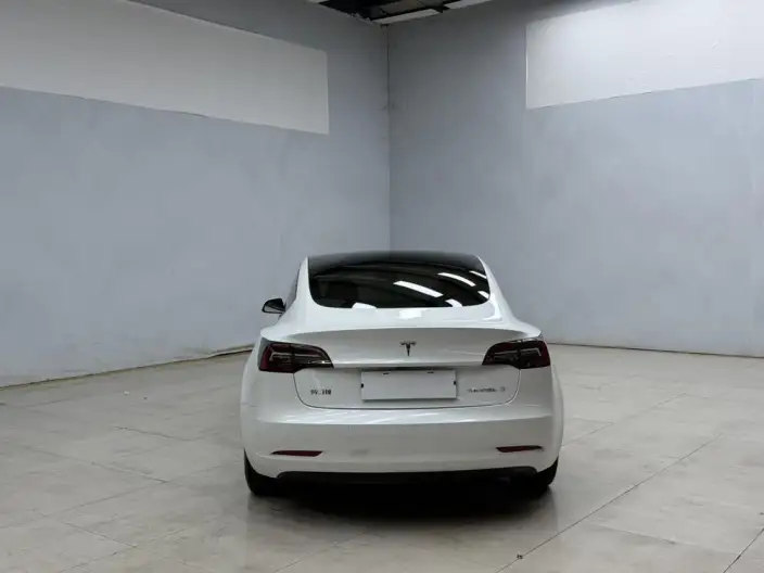 Model 3 2022 Model Rear-wheel drive version – фото 5