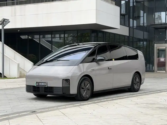 Li Auto MEGA 2025 Model Home Family Special Edition – фото 1