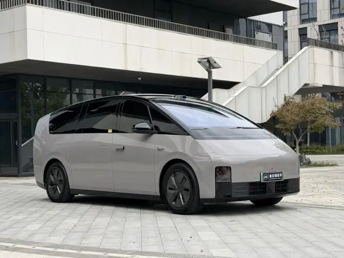 Li Auto MEGA 2025 Model Home Family Special Edition – фото 3