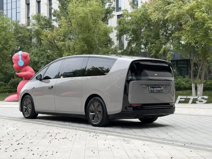 Li Auto MEGA 2025 Model Home Family Special Edition – фото 5