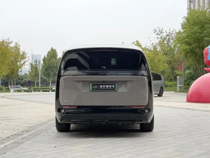 Li Auto MEGA 2025 Model Home Family Special Edition – фото 6