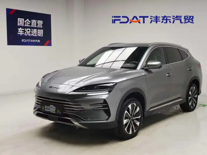 BYD Song PLUS DM 2025 Model DM-i 112KM Noble Model – фото 1
