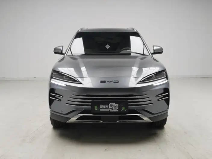 BYD Song PLUS DM 2025 Model DM-i 112KM Noble Model – фото 2