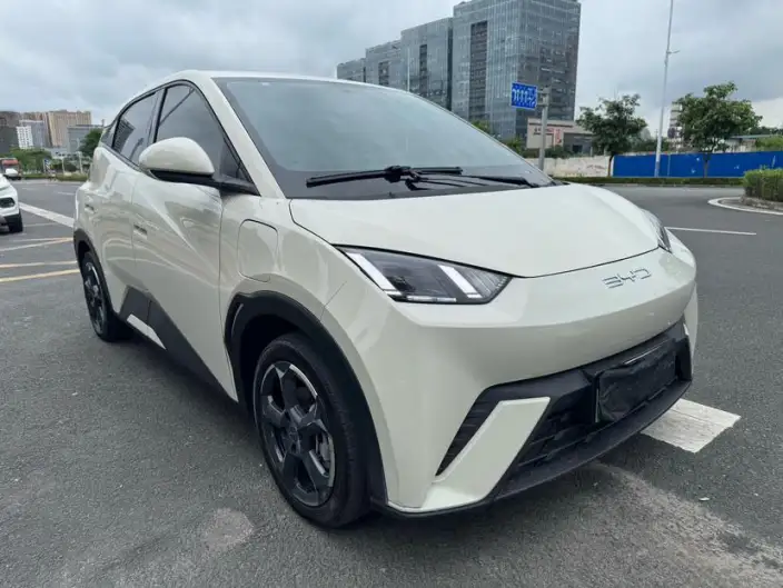 BYD Seagull 2023 Model Free Edition – фото 3