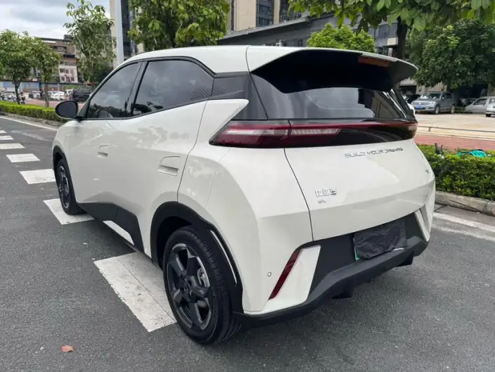 BYD Seagull 2023 Model Free Edition – фото 4