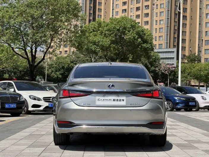 Lexus ES 2020 Model 300h Exclusive Edition China V – фото 5