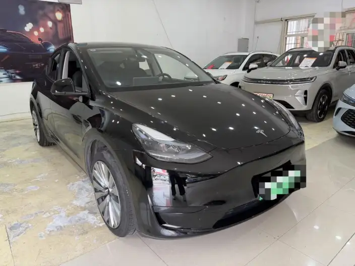 Model Y 2024 Model Rear-wheel drive version – фото 3