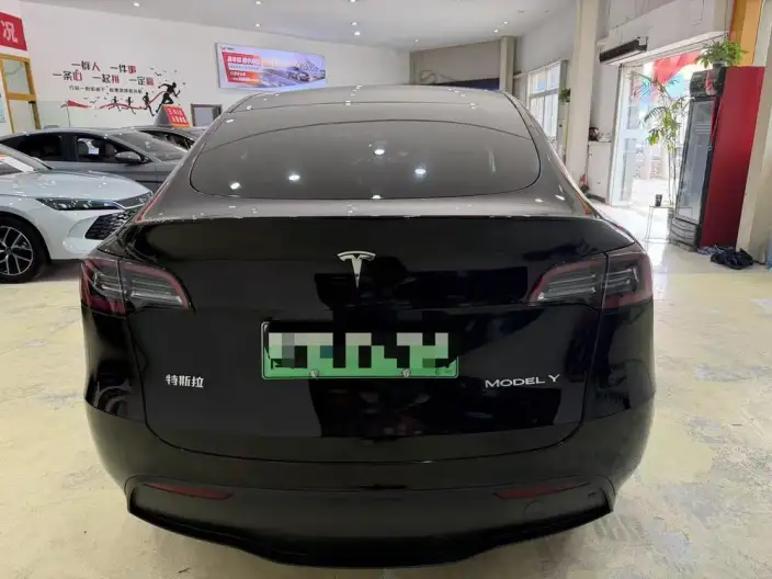 Model Y 2024 Model Rear-wheel drive version – фото 5