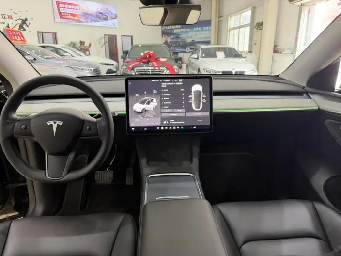 Model Y 2024 Model Rear-wheel drive version – фото 8