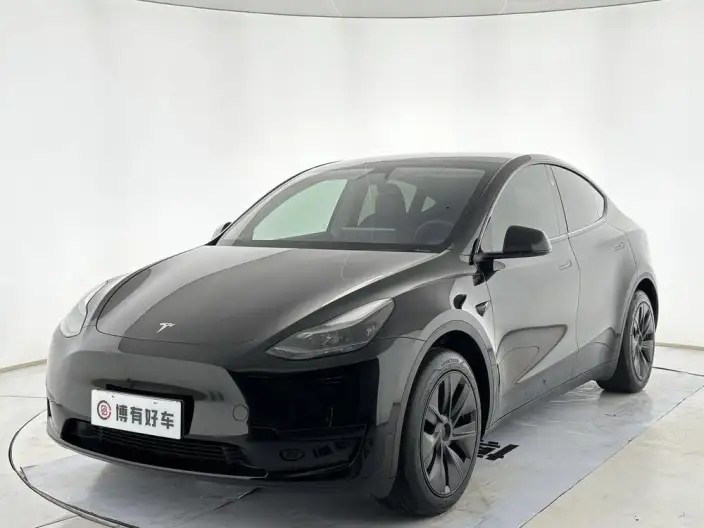 Model Y 2024 Model Rear-wheel drive version – фото 1