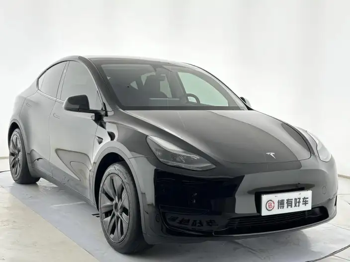 Model Y 2024 Model Rear-wheel drive version – фото 3