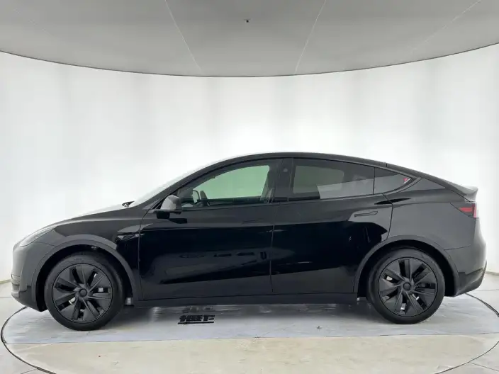 Model Y 2024 Model Rear-wheel drive version – фото 4