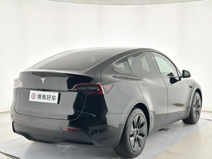 Model Y 2024 Model Rear-wheel drive version – фото 7