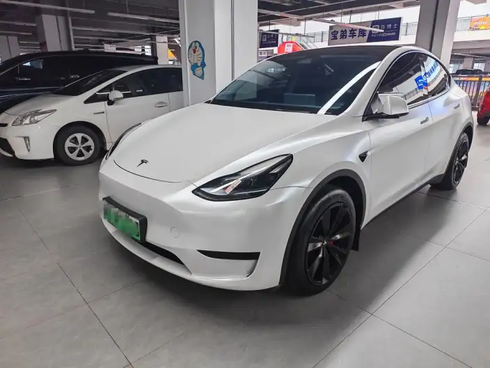 Model Y 2024 Model Rear-wheel drive version – фото 1
