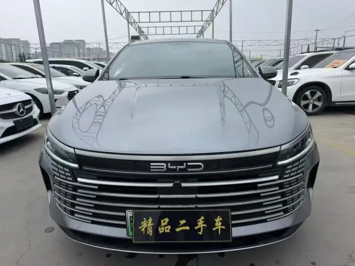 BYD Destroyer 05 2024 Model Honor Edition DM-i 55KM Luxury Model – фото 2