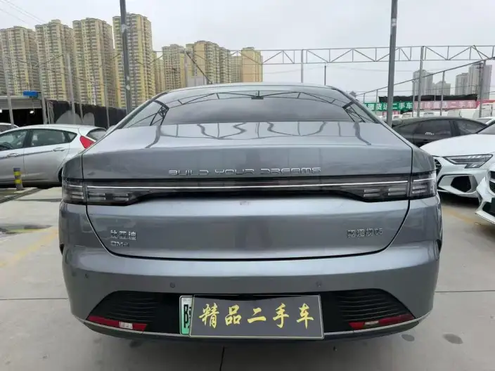 BYD Destroyer 05 2024 Model Honor Edition DM-i 55KM Luxury Model – фото 5