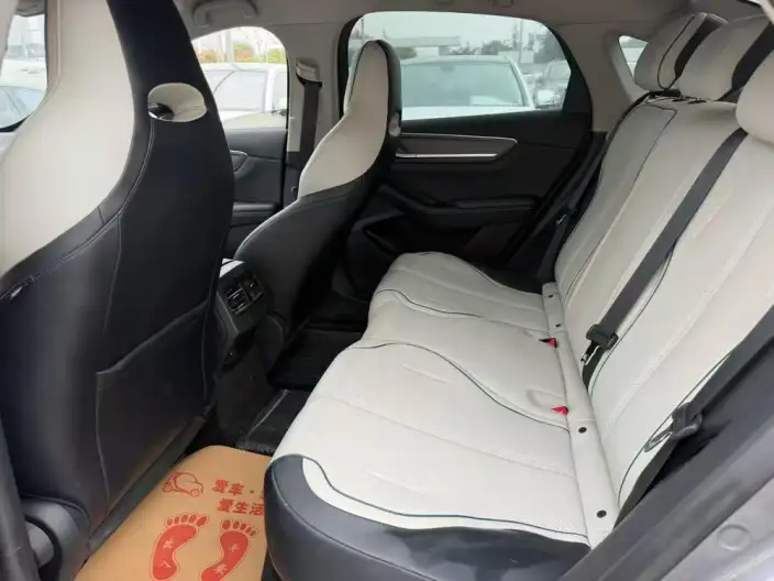 BYD Destroyer 05 2024 Model Honor Edition DM-i 55KM Luxury Model – фото 9