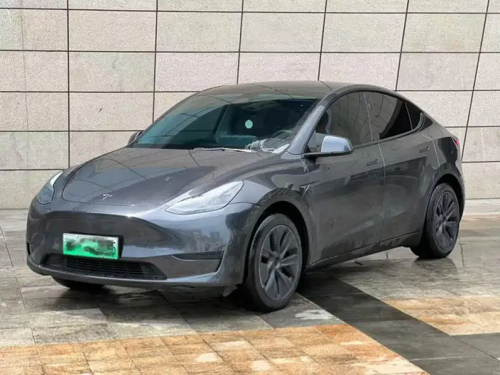 Model Y 2024 Model Rear-wheel drive version – фото 1