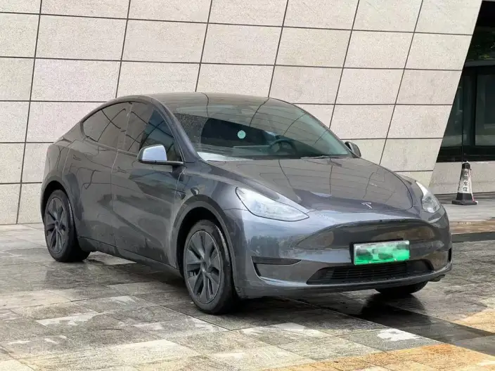 Model Y 2024 Model Rear-wheel drive version – фото 3