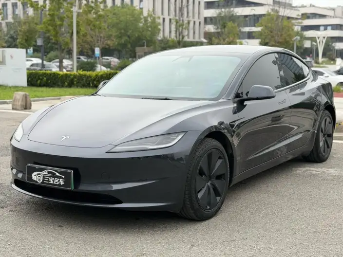 Model 3 2025 Model Rear-wheel drive version – фото 1