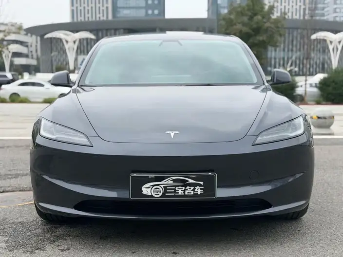 Model 3 2025 Model Rear-wheel drive version – фото 2