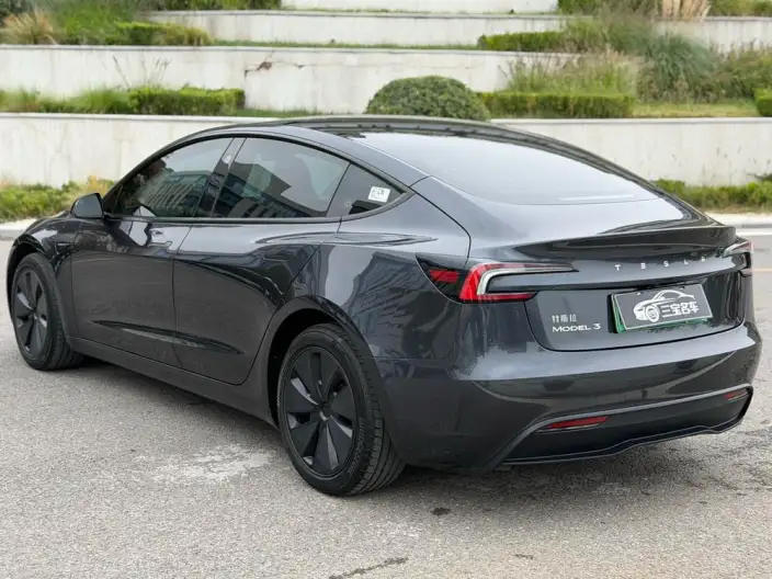 Model 3 2025 Model Rear-wheel drive version – фото 5