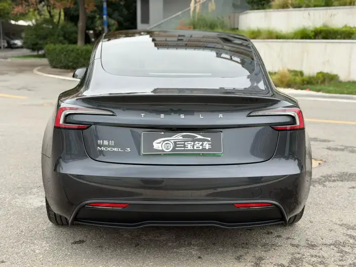 Model 3 2025 Model Rear-wheel drive version – фото 6