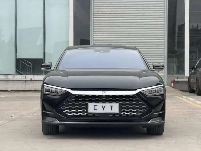 BYD Han DM 2020 Model DM 4WD performance version Noble Model – фото 2