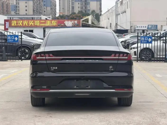 BYD Han DM 2020 Model DM 4WD performance version Noble Model – фото 5