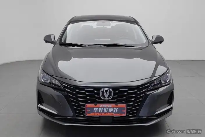 Changan Ruicheng CC 2022 Model Blue Whale Edition 1.5T DCT Luxury Model – фото 2