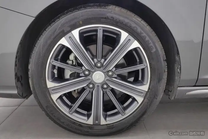 Changan Ruicheng CC 2022 Model Blue Whale Edition 1.5T DCT Luxury Model – фото 8