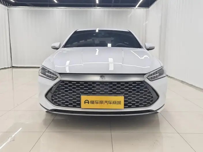 BYD Qin PLUS DM 2021 Model DM-i 55KM Flagship Model – фото 2