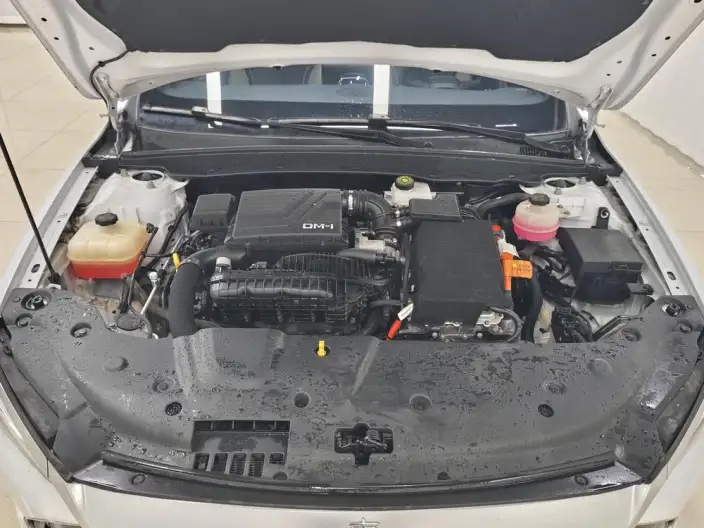 BYD Qin PLUS DM 2021 Model DM-i 55KM Flagship Model – фото 10