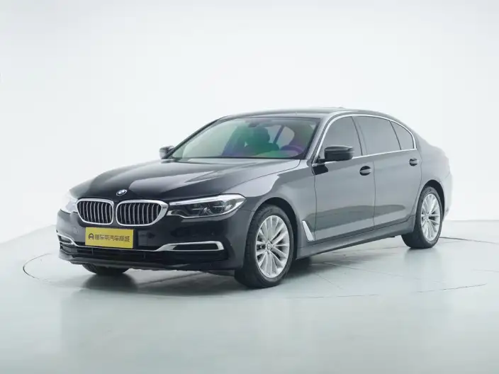 BMW 5 Series 2020 Model 530Li Leading Model Luxury Set – фото 1