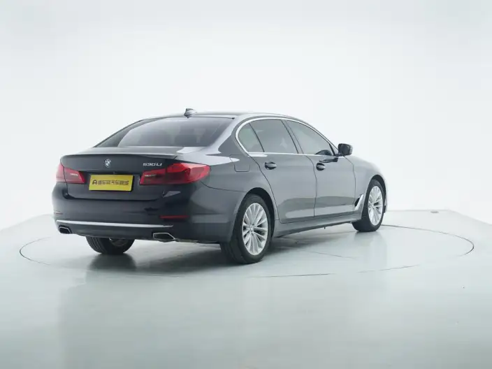 BMW 5 Series 2020 Model 530Li Leading Model Luxury Set – фото 7